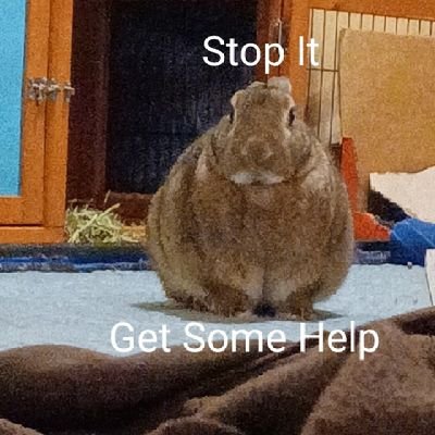 fluffymangoz's profile picture. She/her