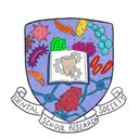 Dental School Research Society (DSRS)'s avatar