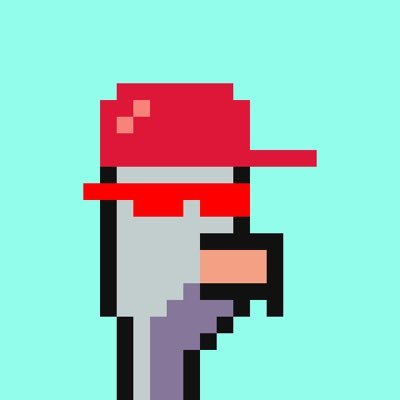 Saint6mon's profile picture. 