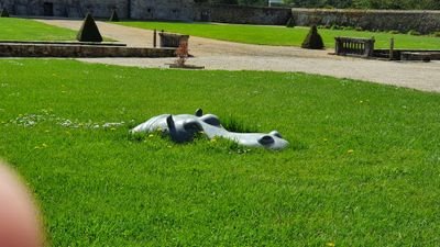 Richard30803191's profile picture. 