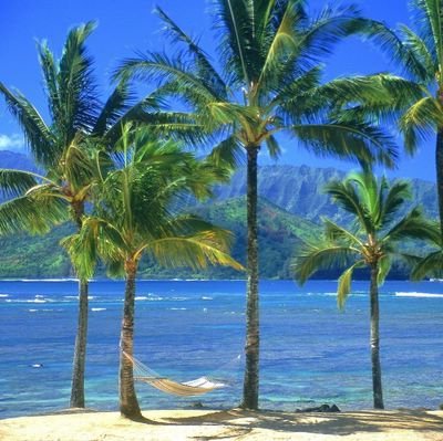 KK_00069's profile picture. Just a normal human being as you are