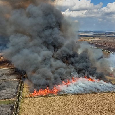 Environmental and social justice campaign to call to Big Sugar to account.