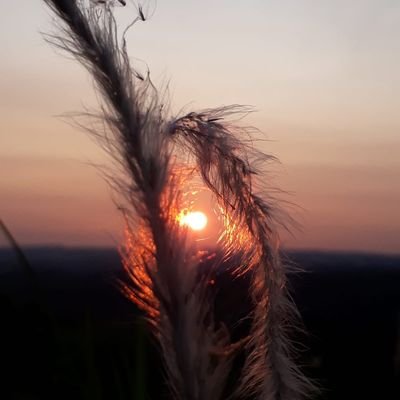 Adhisetiawa_153's profile picture. 