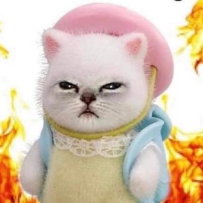 💞TY💞さんのプロフィール画像