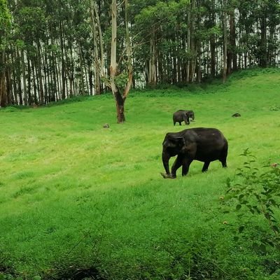 SR16340066's profile picture. Ali