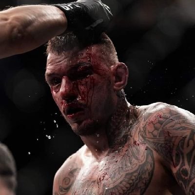 Jachu3878's profile picture. Arsenal, FCB and Atletico ⚽️
Heat 🏀
MMA, wrestling, gaming, legos and music fan