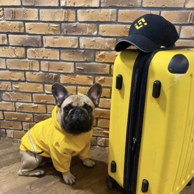 ahooei_ali's profile picture. https://t.co/VxwlBGG1kT