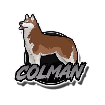 YouTube - Colman_NA|IG - Colman_NA|Tiktok - Colman_NA|22|Content Creator|F/A|#brickbybrick