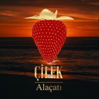 Çilek (@cilekgroup) 's Twitter Profile