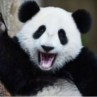 Axemi (@axemi_fn) 's Twitter Profile