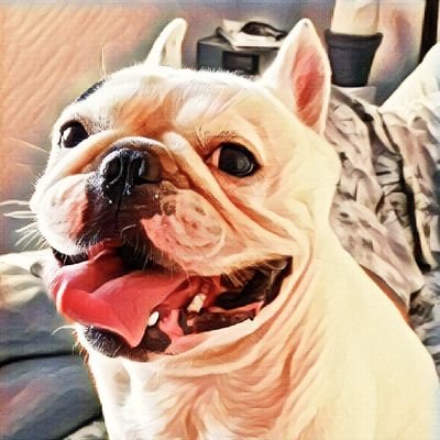 Chico, you will always be our greatest gift from God!
This profile is to share a little of the joy and happiness we had with him.❤️