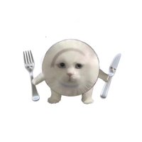 福福大睡 (@_fusleep) 's Twitter Profile