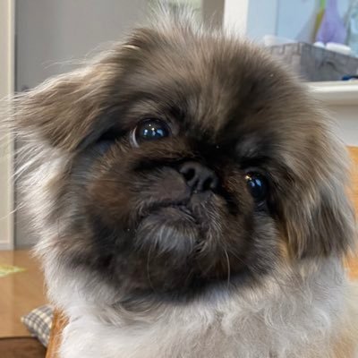 柳明日香さんのプロフィール画像