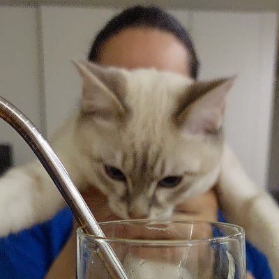 rafaelacsg's profile picture. Complaining until @CSGO gives us back de_cbble