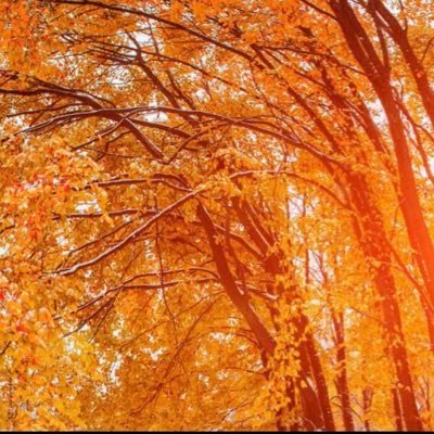 Ebrima52143561's profile picture. Alpha1