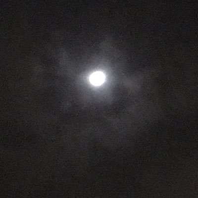 7viod's profile picture. 