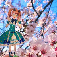 まひる🌞お取引 (@merotakuto) 's Twitter Profile