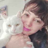 Katzenfrau (@kediciy) 's Twitter Profile Photo