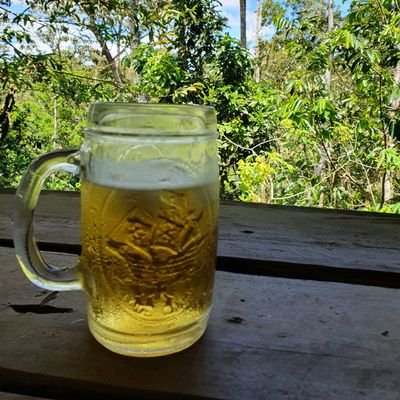 LaTortugaMagica's profile picture. Ahorita, aprendiendo Japonés