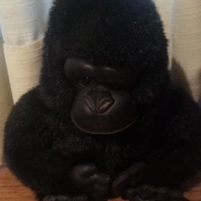 FriendsGordo's profile picture. Leo mucho y me divierten los superheroes