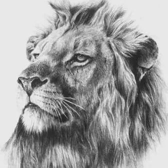 Sir1us_L's profile picture. intelligence