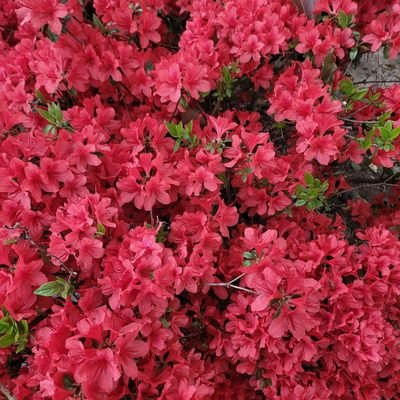 Djkim700's profile picture. 