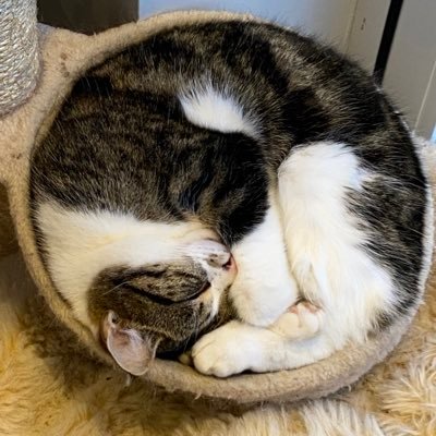 Techx32's profile picture. 