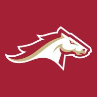 Birmingham Stallions(@USFLStallions) 's Twitter Profile Photo