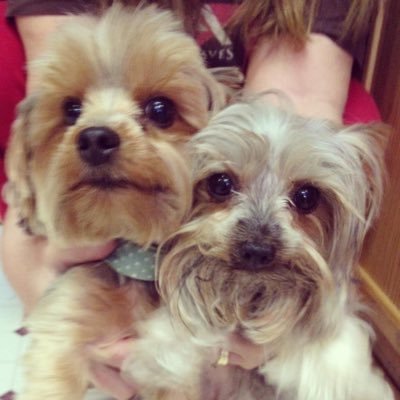 tabrowning's profile picture. Owner of Quality Christian Tees, mom, grandmother and all around good person!