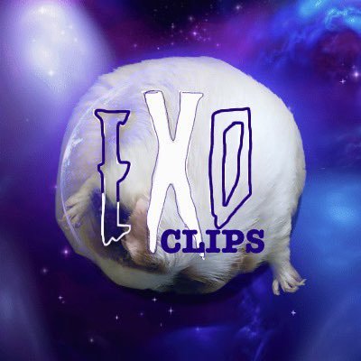 Funny clip channel for @extorious because apparently we have the OG twitter back lol ft. Piggle