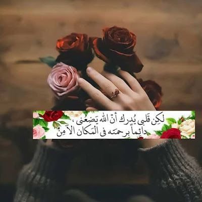 التسجيل في برنامج السعودة بشركات مضمونة وموثقة للتسجيل او الاستفسار يرجى التواصل مع فريق الدعم عبر رسائل الدايركت