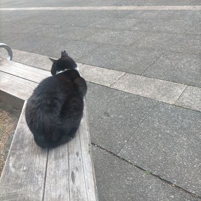 小さなことを継続することが僕の全てです。
今後の目標は
・体重標準体重97kg→68kgおよそ30 kg減量し、靖国神社の近くの写真館で遺影の写真を撮る
うつし世はゆめ、夜の夢こそまこと