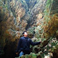 Franz Albert (@franzalbert_h) 's Twitter Profile