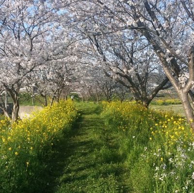 dpe2EE1vVvxaXFN's profile picture. 反DS・反💉・反売国奴・反移民