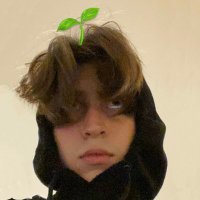 Felca #seita (@felcca) 's Twitter Profile