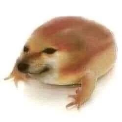 thiccwafiu's profile picture. 