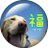 シルバーチャリ乙(別名:ゴンちゃん)のアイコン