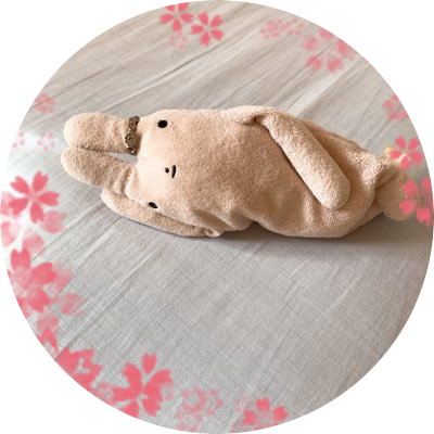右から失礼だいちゃんだよさんのプロフィール画像