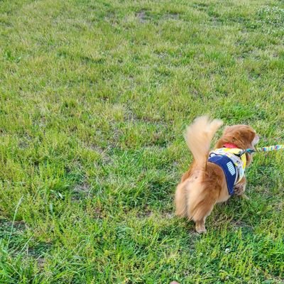 りぃまるさんのプロフィール画像