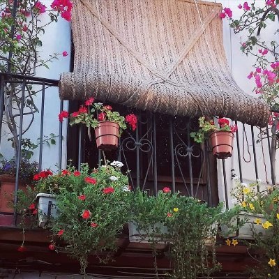 CarmenMariaFe18's profile picture. Mayo cordobés, ya huele....