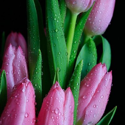 Deansgirl1985DL's profile picture. 