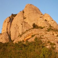 Antonio Gomez Bolea (@gomezbolea) 's Twitter Profile