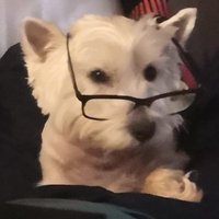 wistie 🟦⬜🟥 (@wistie3) 's Twitter Profile Photo wistie 🟦⬜🟥 (@wistie3) 's Twitter Profile Photo