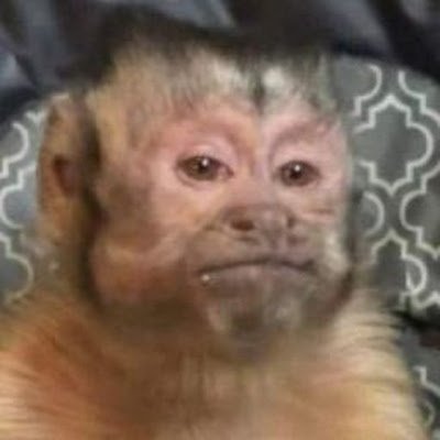 DixonGomez28's profile picture. 