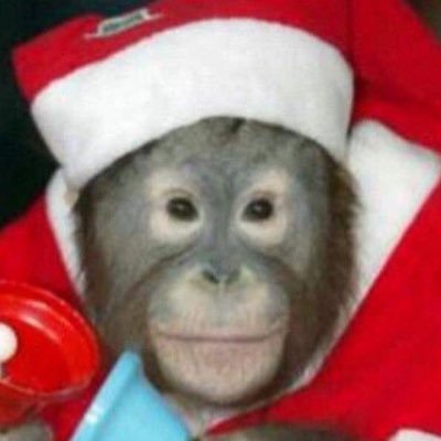 쵸럭키さんのプロフィール画像