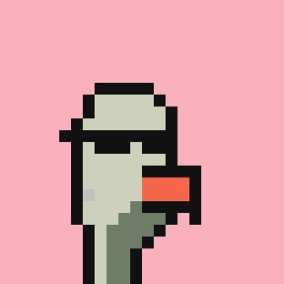 AveryHBreuer's profile picture. Number one @stacksjs & Buddy fan.