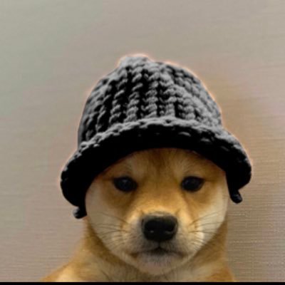 Victorsosaf16's profile picture. Físico pipon