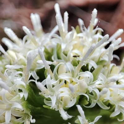 mihaidorinao's profile picture. Proiectare Arhitectură