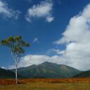 bimal desai - @getbdesai - Twitter