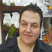 Roger Saad (@rrogersaad) 's Twitter Profile